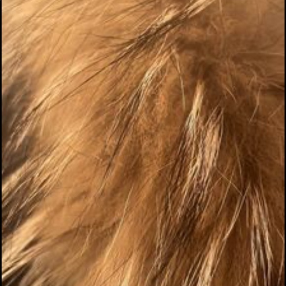 Gorgeous Mackage winter coat - Picture 6 of 7